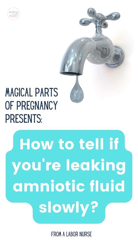 how do you know if your leaking amniotic fluid|Water Breaking: What Are the Signs of。